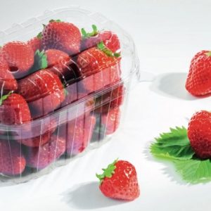 Kunststoffschale 250g F250-I49