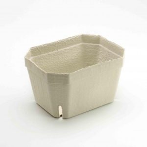 Holzschliffschale_1000g_Berigard_2000D