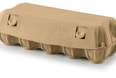 Eierkarton 10er braun